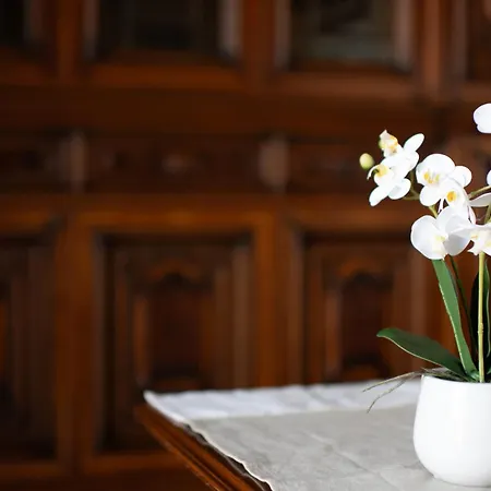 Appartamento Domus Umberto - Arezzo